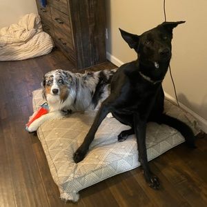 Meet your Posher, Alexandra